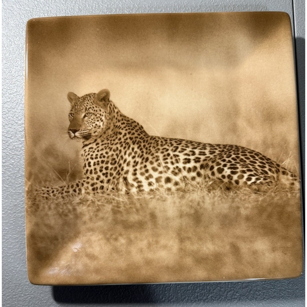 Tabletops Unlimited TAU41 Leopard Square Salad Plate 9" Dario Farrucci Sepia